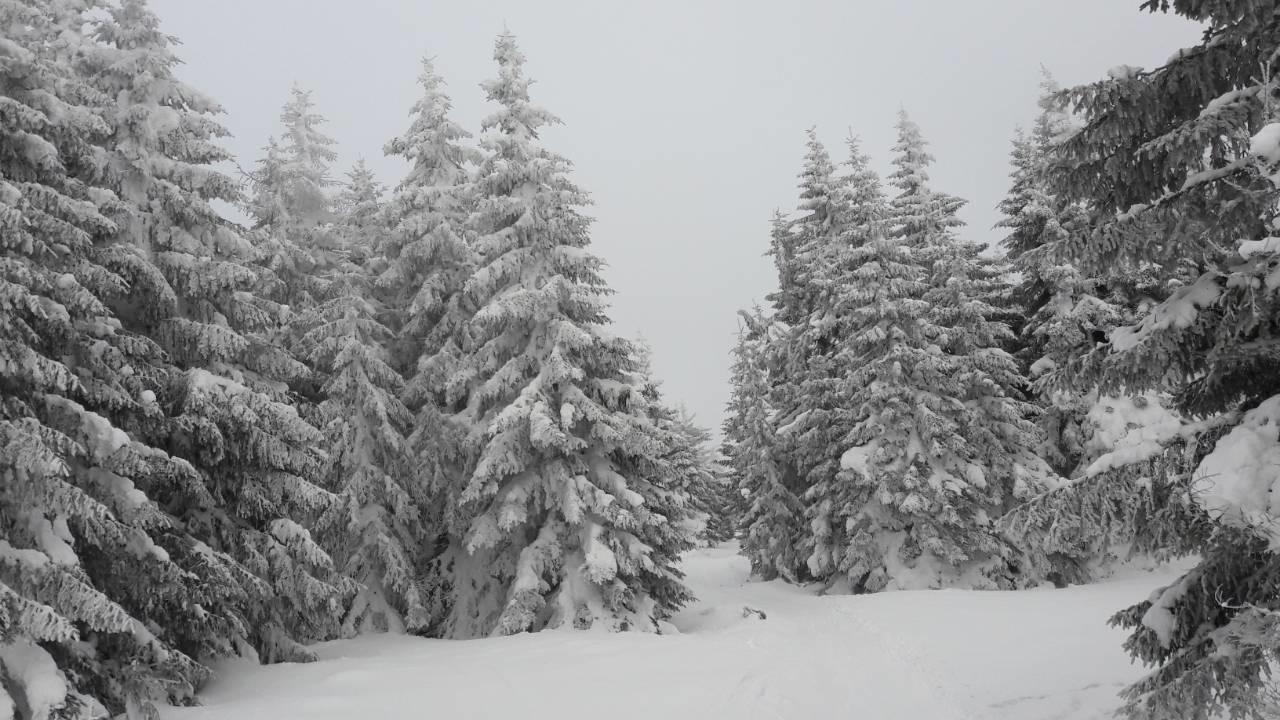 Lux Apartman B1 Milmari Kopaonik Luaran gambar