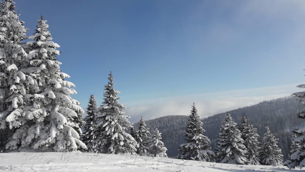 Lux Apartman B1 Milmari Kopaonik Luaran gambar